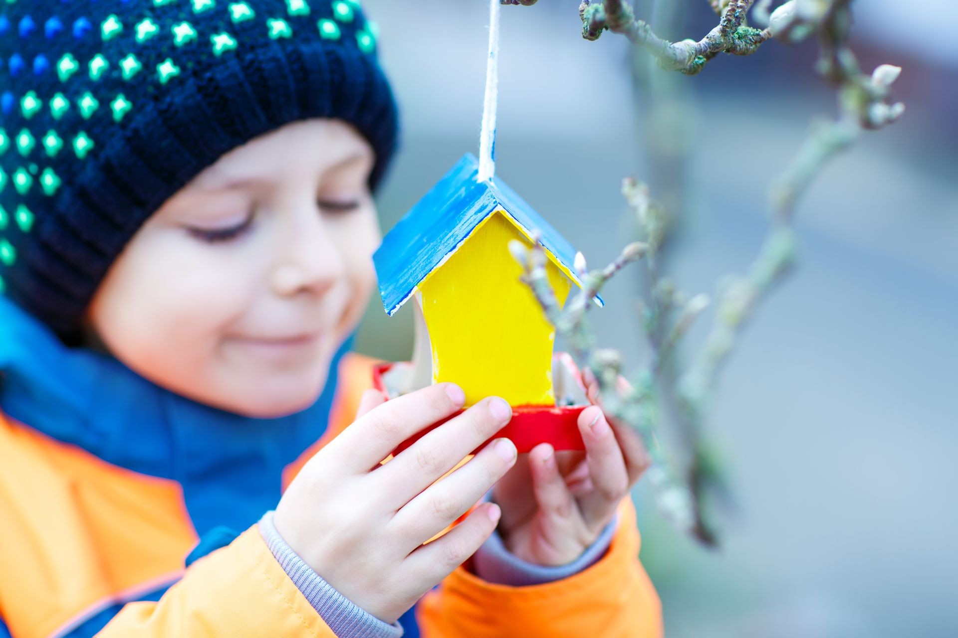 Little kid feeding birds in winter. Child hanging colorful selfmade bird house on tree on frosty cold day. Toddler in colorful wam clothes. Selective focus on hands and feeder with seeds